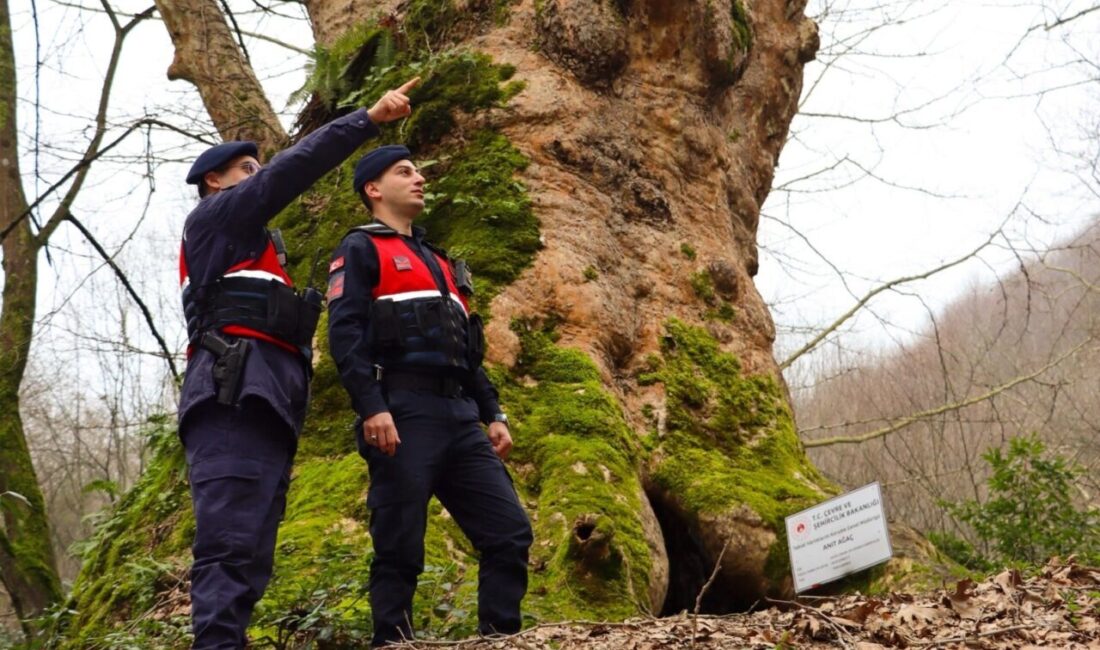 Yalova İl Jandarma Komutanlığı ekipleri, güvenli turizm kapsamında doğa rotalarında