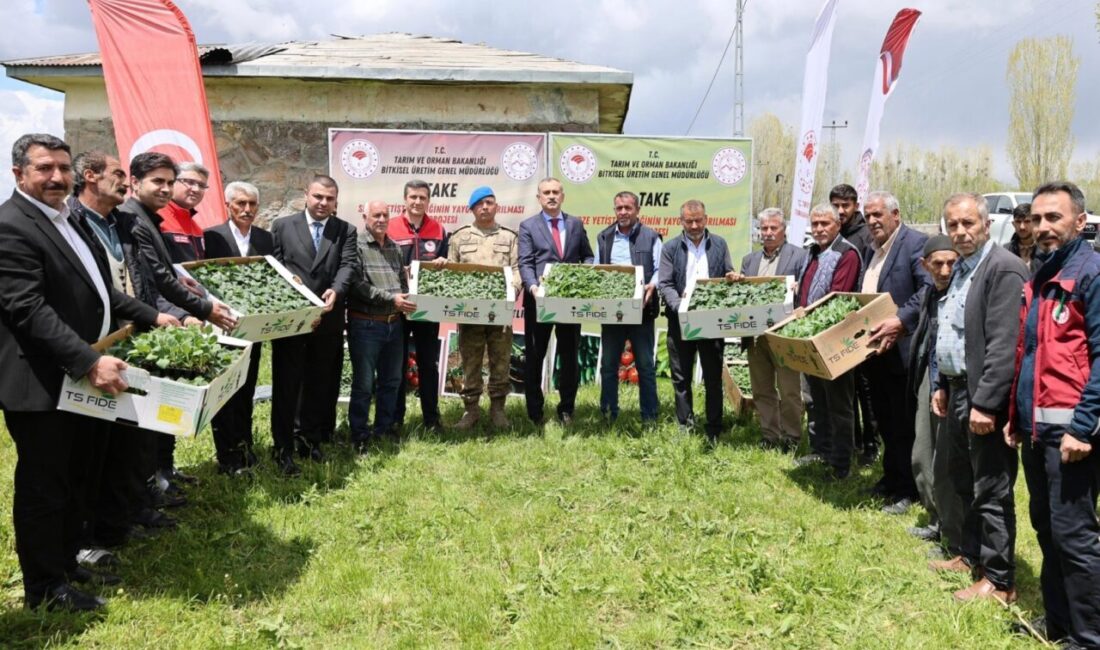 Ağrı Valiliği’nden Aşkale’ye 100 bin fide desteği Ağrı Valisi Önder Bozkurt, Aşkale Köyü’nde düzenlenen fide dağıtım programında
