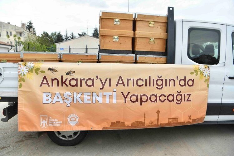 Ankara Büyükşehir’den arıcılara kovan desteği Ankara Büyükşehir Belediyesi, kırsal kalkınmayı desteklemek ve arıcılığı yaygınlaştırmak amacıyla
