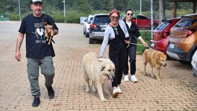 Antalya Büyükşehir Belediyesi Sokak Hayvanları Geçici Bakımevi ve Rehabilitasyon Merkezi’nde