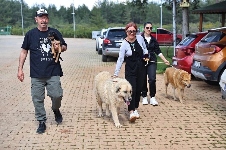 Antalya Büyükşehir Belediyesi Sokak Hayvanları Geçici Bakımevi ve Rehabilitasyon Merkezi’nde