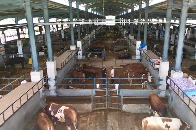 Bursa İnegöl’de modern hayvan pazarı yüzleri güldürdü Bursa İnegöl Belediyesi Modern Hayvan Pazarı, Kurban Bayramı sürecinde hem