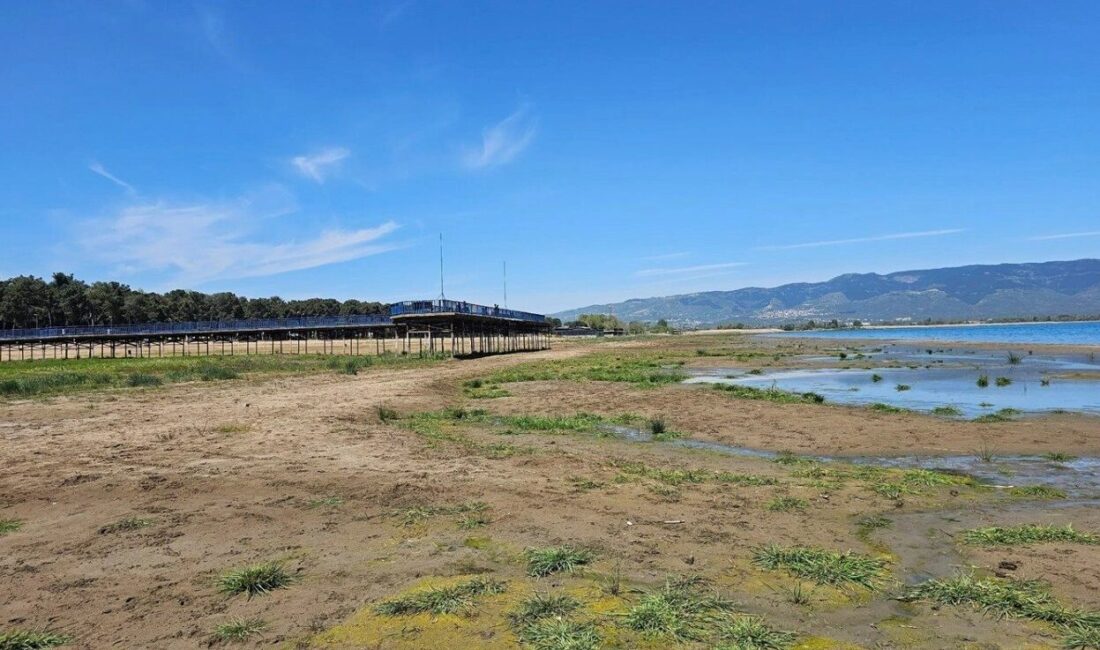 Bursa'da İznik Gölü’nde su seviyesi yaklaşık 200 metre geri çekilirken,
