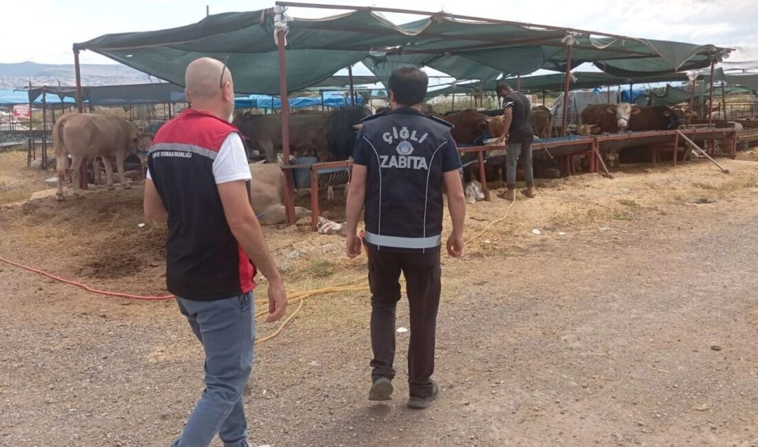 İzmir'de Çiğli Belediyesi Zabıta Müdürlüğü ile İlçe Kurban Komisyonu ekipleri,