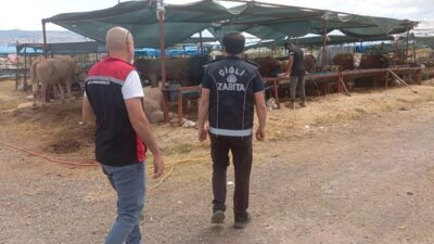 İzmir'de Çiğli Belediyesi Zabıta Müdürlüğü ile İlçe Kurban Komisyonu ekipleri,