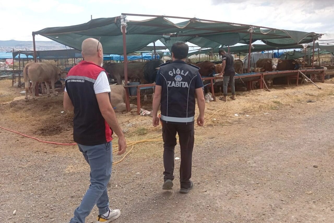 İzmir'de Çiğli Belediyesi Zabıta Müdürlüğü ile İlçe Kurban Komisyonu ekipleri,