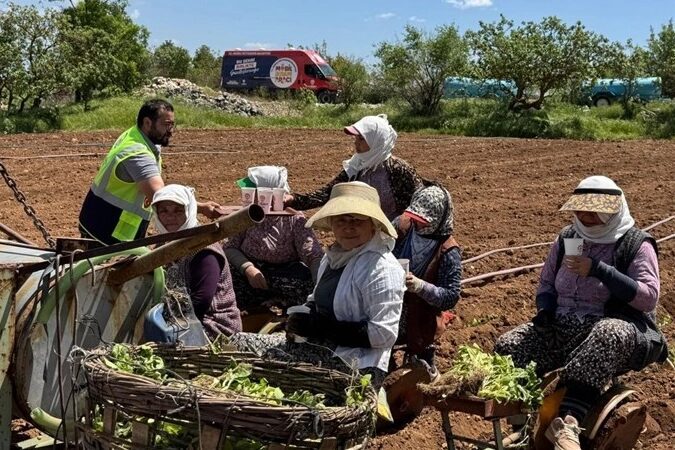 Denizli Büyükşehir Belediyesi mobil ikram araçları, bu kez tarlalarda çalışan