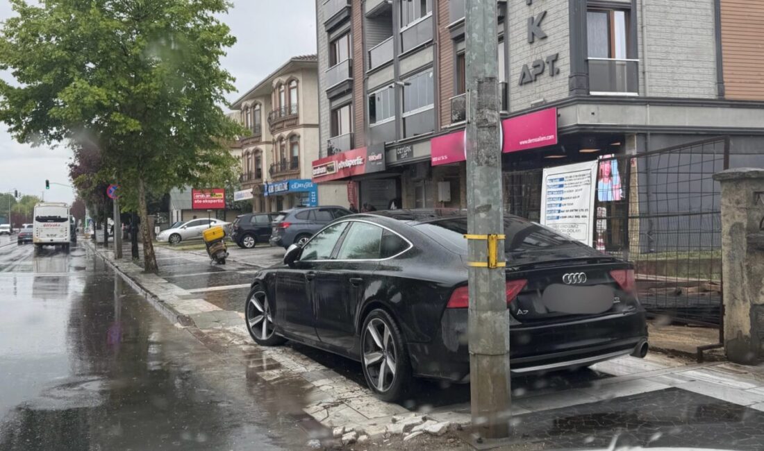 Düzce kent merkezinde kaldırımların araçlar tarafından park alanı olarak kullanılması,