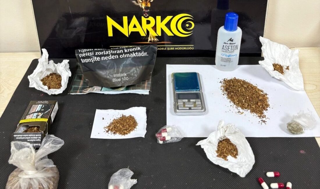 Düzce’de düzenlenen narkotik operasyonda 266 adet sentetik ecza hap ele