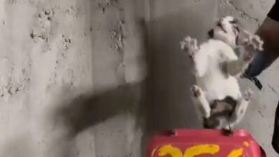 Eskişehir Büyükşehir Belediyesi İtfaiye Dairesi Başkanlığı ekipleri, Kurtuluş Mahallesi’nde su