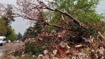 Gaziantep Büyükşehir Belediye Başkanı Fatma Şahin, kentte etkili olan şiddetli