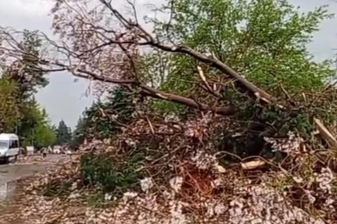 Gaziantep Büyükşehir Belediye Başkanı Fatma Şahin, kentte etkili olan şiddetli
