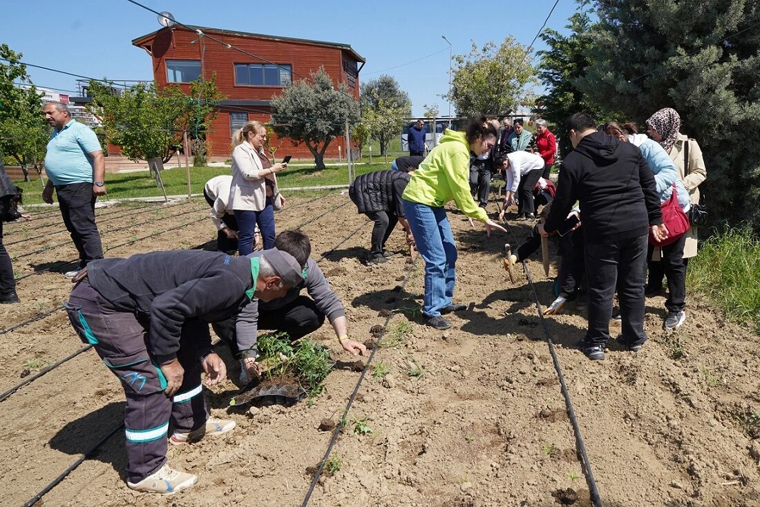 İstanbul'da Beylikdüzü Belediyesi’nin “üreten kent” hedefiyle hayata geçirdiği Yaşam Bahçesi’nde