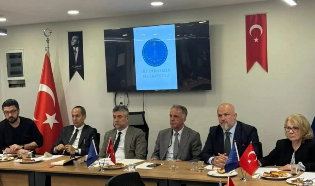 İstanbul İl Sivil Toplumla İlişkiler Müdürü olarak yaklaşık bir ay