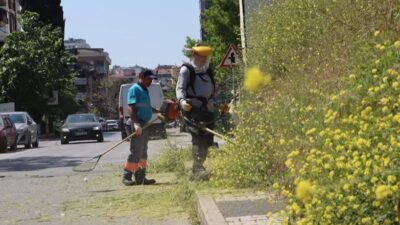 İstanbul Maltepe Belediyesi, yaz mevsiminin gelmesiyle birlikte ilçe genelinde ot