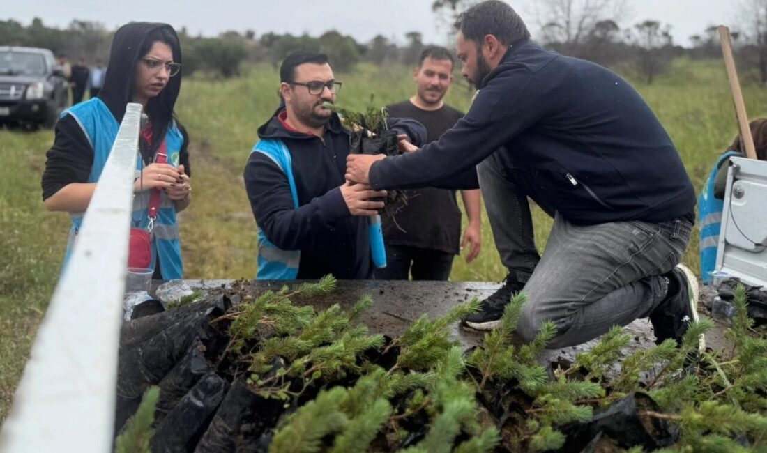“Yeşil İzmir” hedefiyle yürüttüğü ağaçlandırma çalışmaları kapsamında yangından zarar gören