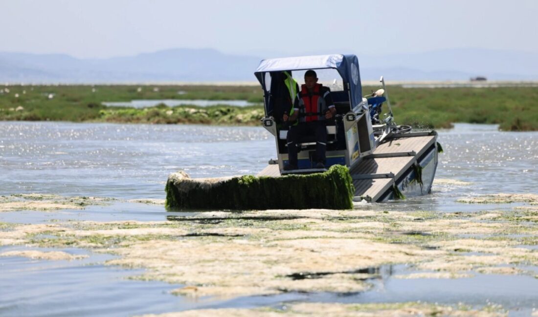 İzmir Körfezi’nde özellikle Gediz Nehri ve Ağıl Deresi üzerinden taşınan