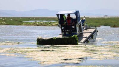 İzmir Körfezi’nde özellikle Gediz Nehri ve Ağıl Deresi üzerinden taşınan