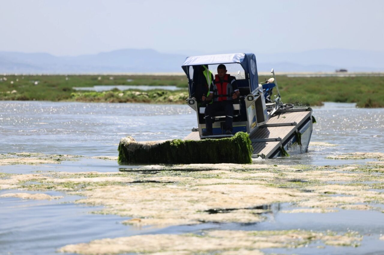 İzmir Körfezi’nde özellikle Gediz Nehri ve Ağıl Deresi üzerinden taşınan