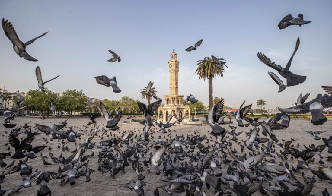 İzmir’in 2074 vizyonu Kültürpark’ta sergilenecek İzmir Büyükşehir Belediyesi, “İki Çizgi Arasında: Geleceğin İzmir’ine Bugünden Bir