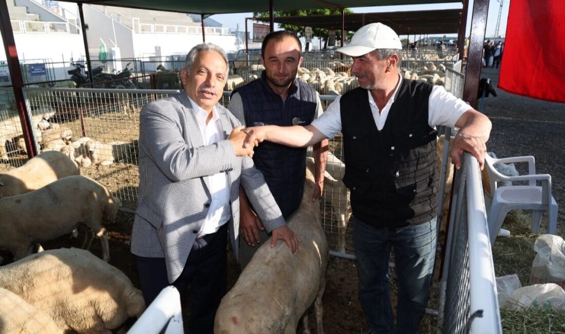 Yaklaşan Kurban Bayramı öncesinde hazırlıklarını yoğunlaştıran Kayseri Talas Belediyesi, kurban