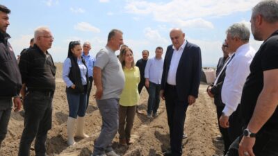 PANKOBİRLİK Genel Başkanı Ramazan Erkoyuncu, Konya’da patates ekim alanlarının genişlediğini