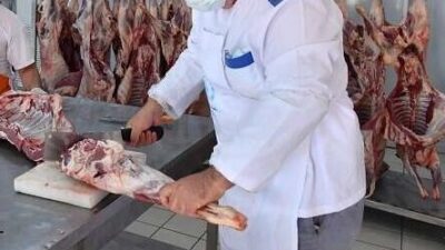 İstanbul'da Üsküdar Üniversitesi uzmanları, Kurban Bayramı öncesinde hem kesim güvenliği
