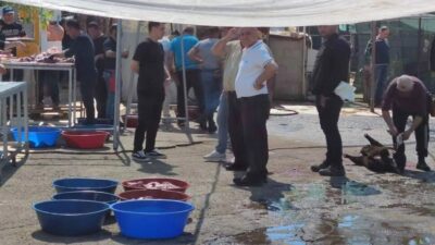İstanbul'da Maltepe Belediyesi, çevre ve halk sağlığını korumak amacıyla Kurban