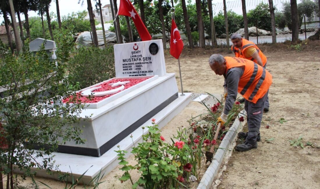 Antalya Büyükşehir Belediyesi, Antalya merkez ve 19 ilçelerde mezarlıkları Kurban