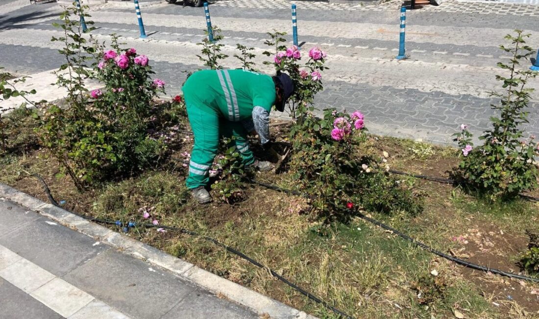 Muğla Milas Belediyesi, Kurban Bayramı öncesinde Güllük’te parklar, caddeler ve