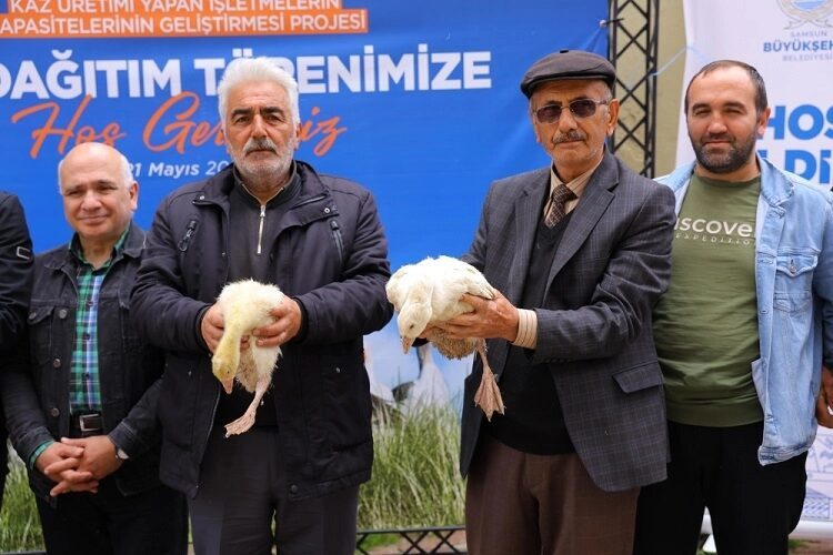 Samsun Büyükşehir Belediyesi, tarım ve hayvancılığa yönelik destek projeleriyle üreticinin