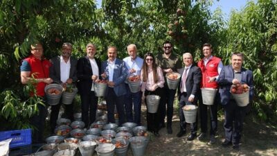 Şeftali ve nektarinde 250 milyon dolar ihracat hedefi Türkiye şeftali ve nektarinde bereketli bir sezona hazırlanıyor. Şeftali sezonun
