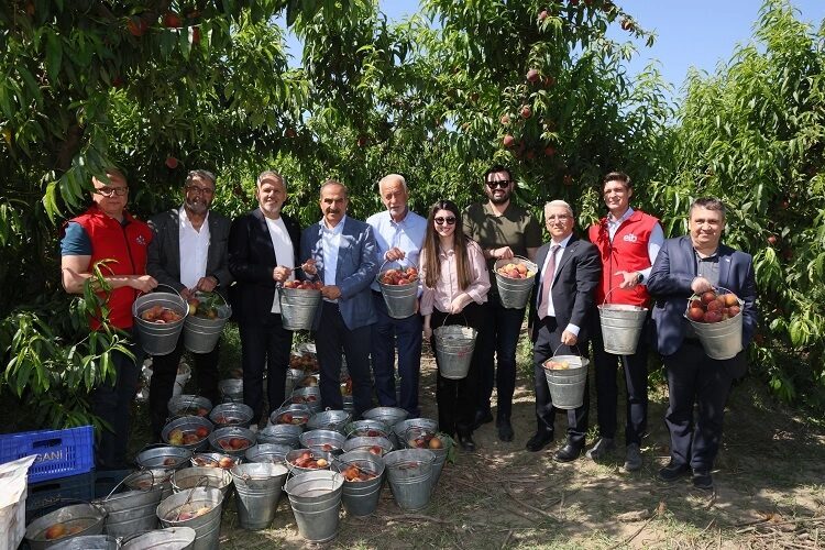 Şeftali ve nektarinde 250 milyon dolar ihracat hedefi Türkiye şeftali ve nektarinde bereketli bir sezona hazırlanıyor. Şeftali sezonun