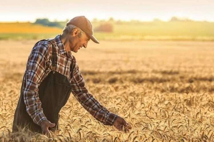 Tarım ürünlerinde fiyat artışı sürüyor… Tarım-ÜFE yıllık yüzde 42,53 yükseldi TÜİK’in açıkladığı nisan ayı verilerine göre Tarım Ürünleri Üretici Fiyat