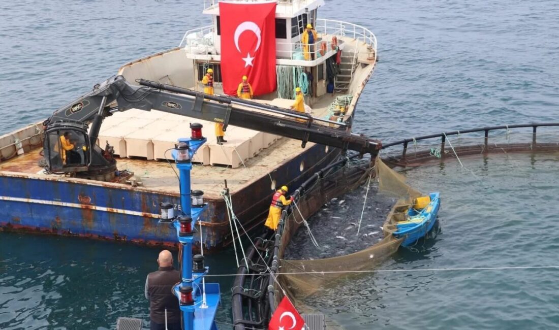 Tarım ve Orman Bakanlığı'na bağlı Balıkçılık ve Su Ürünleri Genel
