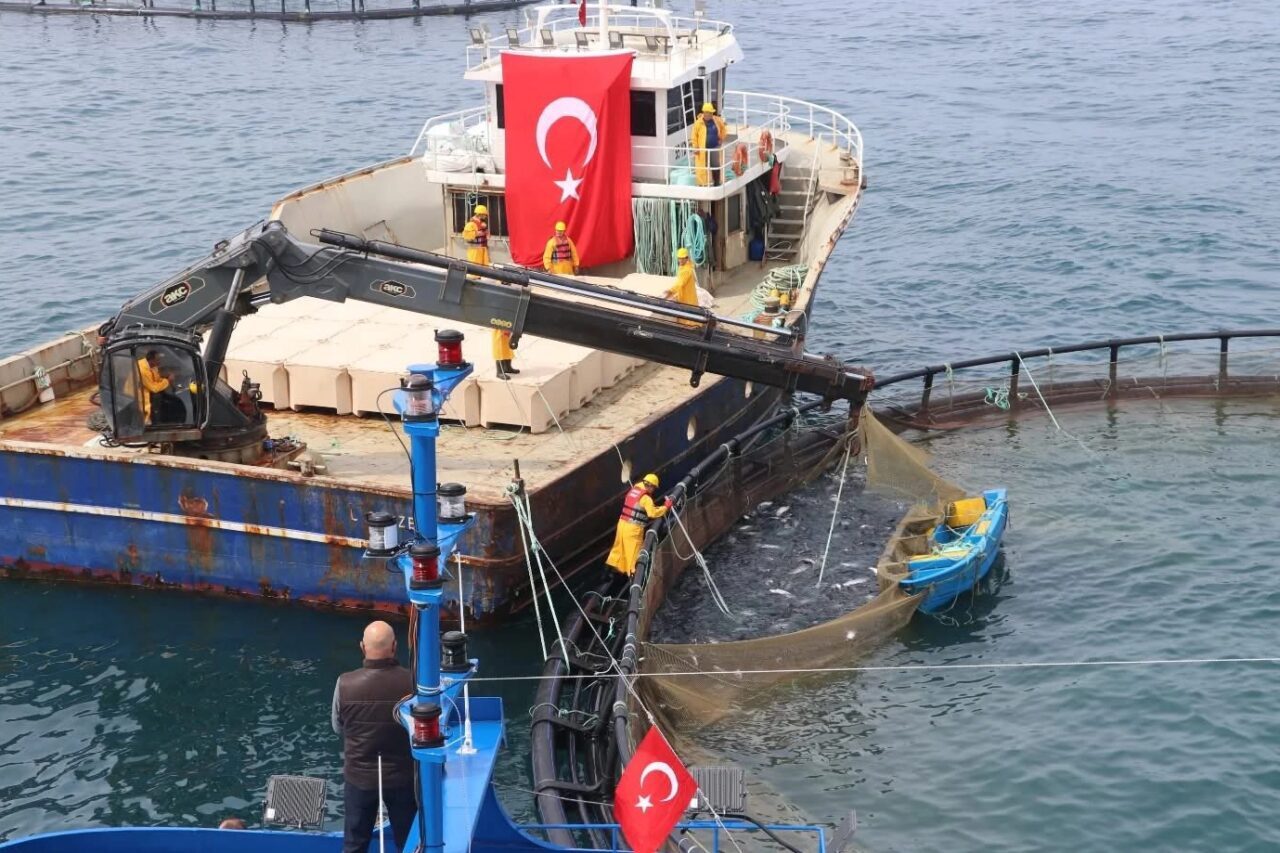 Tarım ve Orman Bakanlığı'na bağlı Balıkçılık ve Su Ürünleri Genel