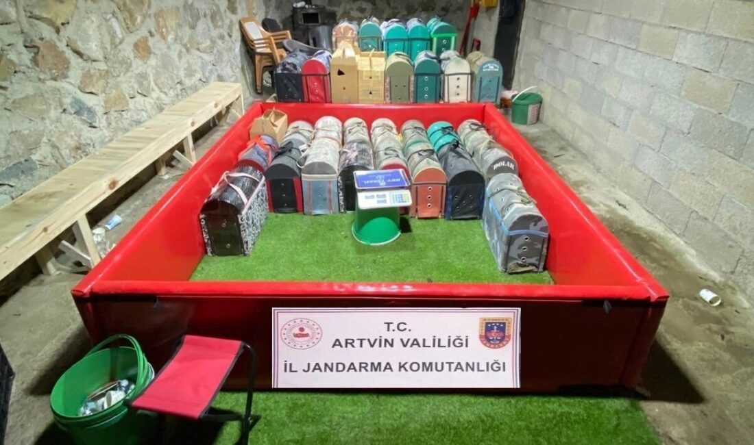 Artvin’in Yusufeli ilçesinde dövüş için kurulan ring içerisinde 42 adet