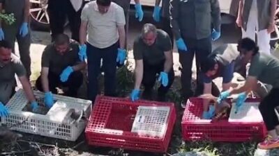 Doğa Koruma ve Milli Parklar 2. Bölge Müdürü Hacı Ahmet