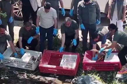 Bursa’da tedavileri tamamlanan yaban hayvanlar doğaya salındı Doğa Koruma ve Milli Parklar 2. Bölge Müdürü Hacı Ahmet
