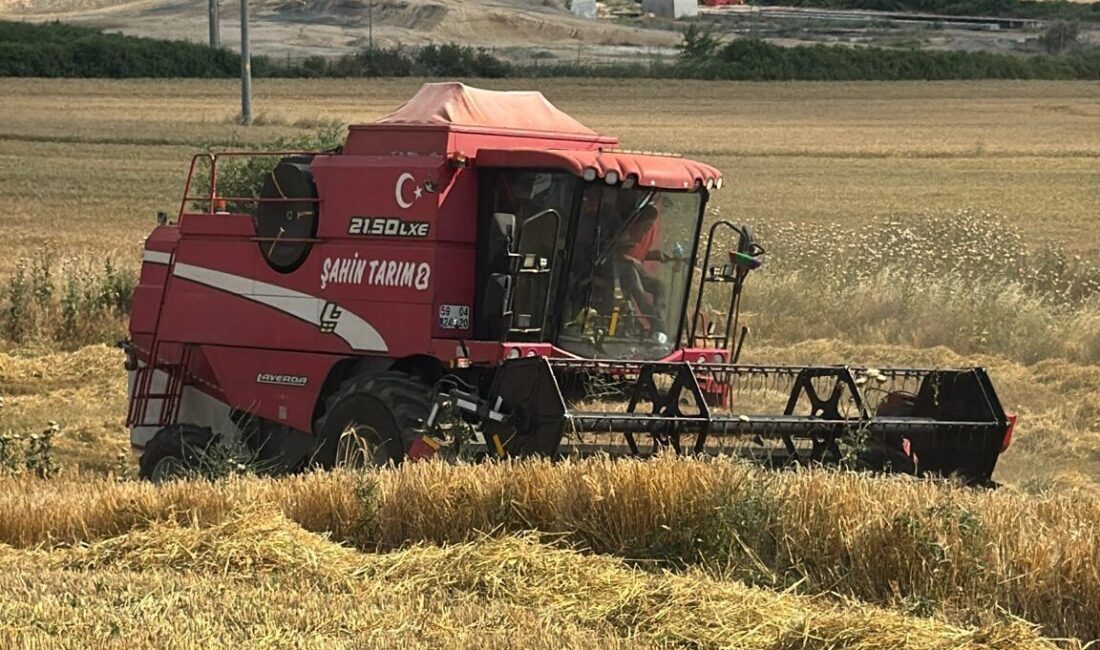 Edirne Keşan’da ilk arpa hasadı… Çiftçi fiyattan dertli Edirne Keşan’da 2026 bölge tarım sezonunun ilk arpa hasadı, 8