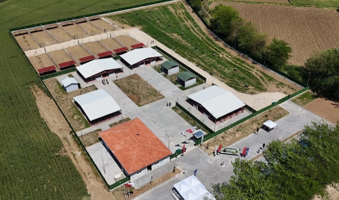 Güney Marmara’nın en modern hayvan bakımevi Bursa Yenişehir’de açıldı Yenişehir Belediyesi, ilçede bir ilke imza atarak can dostlar için