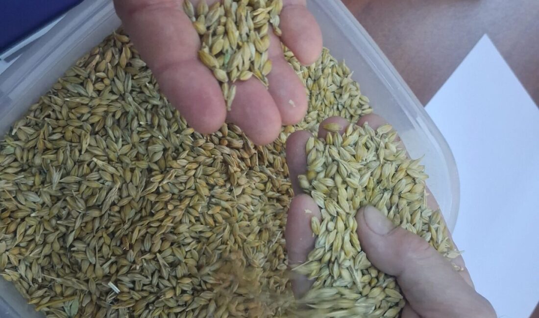 Keşan Ticaret Borsası’nda düzenlenen sezonun ilk salon satışında Karahisar Köyü’nden