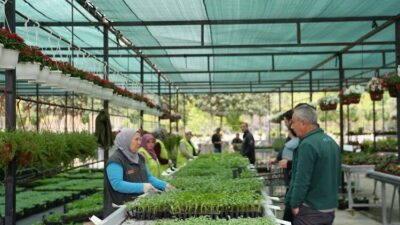 Sebze yetiştirme sezonunun başlamasıyla birlikte, bahçesinde, balkonunda veya terasında kendi