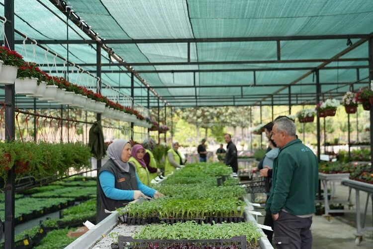 Sebze yetiştirme sezonunun başlamasıyla birlikte, bahçesinde, balkonunda veya terasında kendi