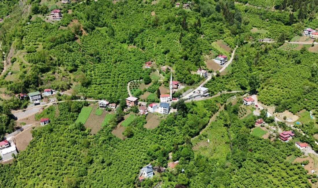 Trabzon Maçka’da içme suyu sorunu çözülüyor Trabzon Büyükşehir Belediyesi TİSKİ Genel Müdürlüğü, Maçka’nın Hızarlı, Gayretli ve