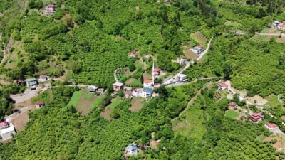 Trabzon Büyükşehir Belediyesi TİSKİ Genel Müdürlüğü, Maçka’nın Hızarlı, Gayretli ve