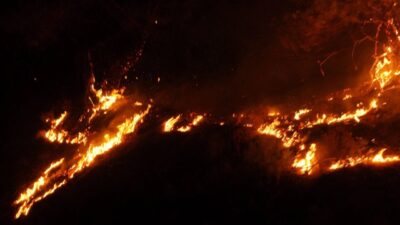 Ayvalık'ta  Bağyüzü Mahallesi çevresinde başlayan ve şiddetli rüzgarın etkisiyle Hacıveliler,