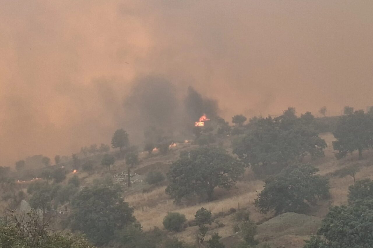 Balıkesir’in Gömeç ilçesinde başlayan orman yangını, kuvvetli rüzgarın etkisiyle İzmir’in