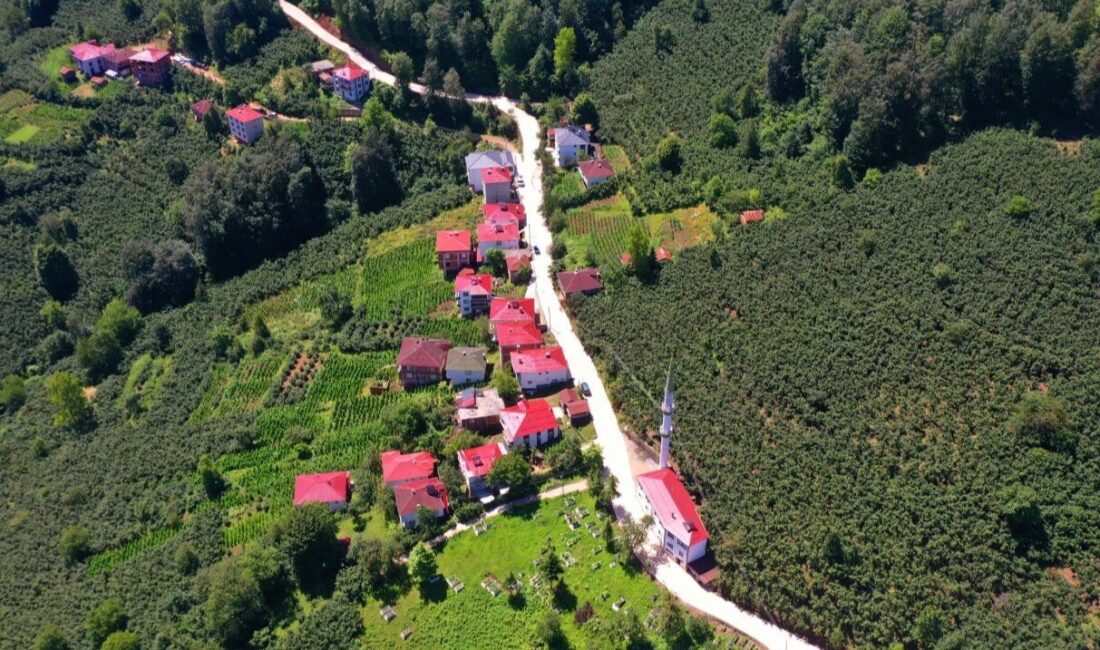 Ordu Büyükşehir Belediyesi, il genelinde sürdürdüğü ulaşım yatırımlarına bir yenisini