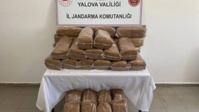 Yalova İl Jandarma Komutanlığı ekiplerince kaçakçılıkla mücadele kapsamında düzenlenen operasyonda